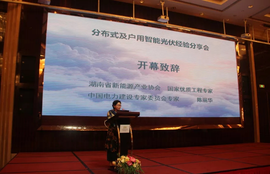 湖南省新能源產業協會秘書長陳麗華.webp.jpg